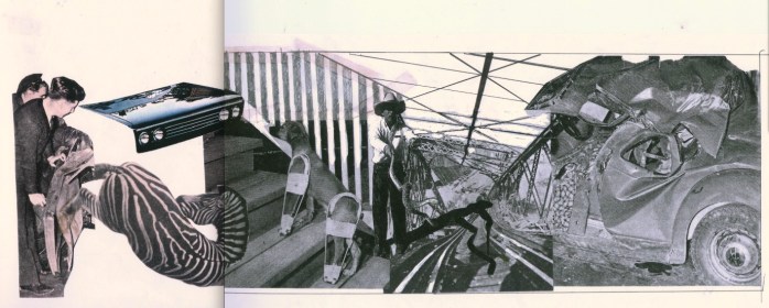 1 coll zebra stair snake