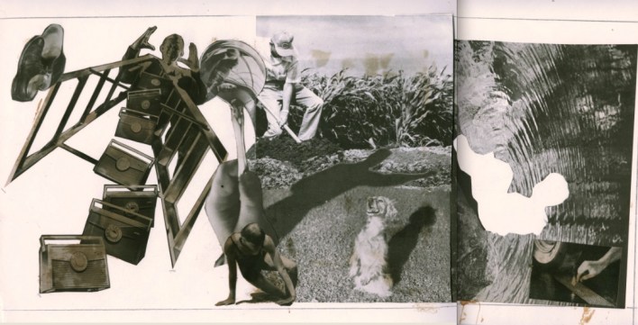 2 coll ladder radio dog pool