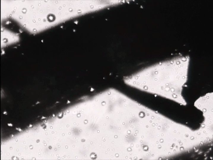 Line-Of-Apsides-looping